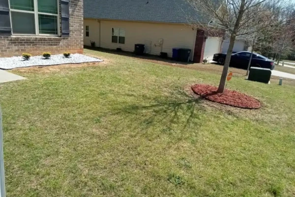 Alexander Great Landscaping's Other services