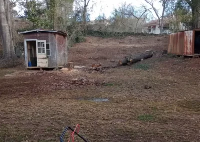 Best Weed Control Service