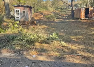 Weed Control Service